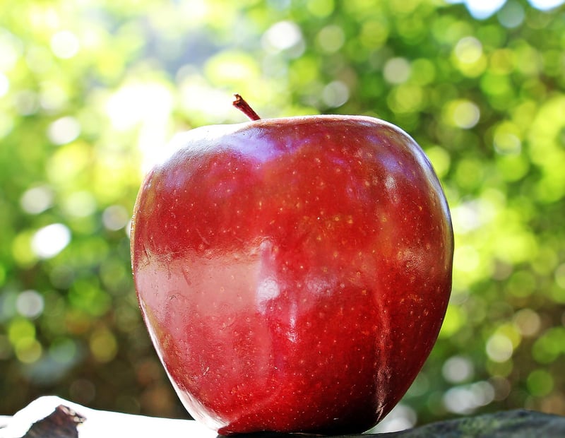 Applesauce